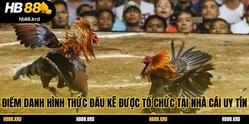 Điểm danh hình thức đấu kê được tổ chức tại nhà cái uy tín