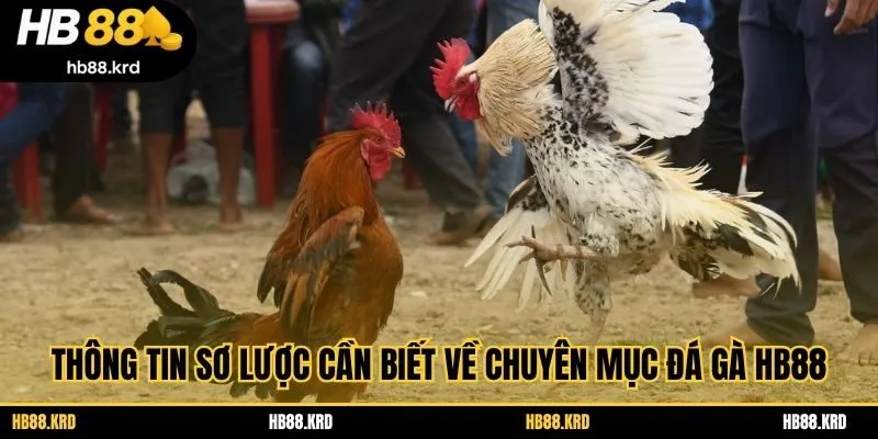 Thông tin sơ lược cần biết về chuyên mục đá gà HB88