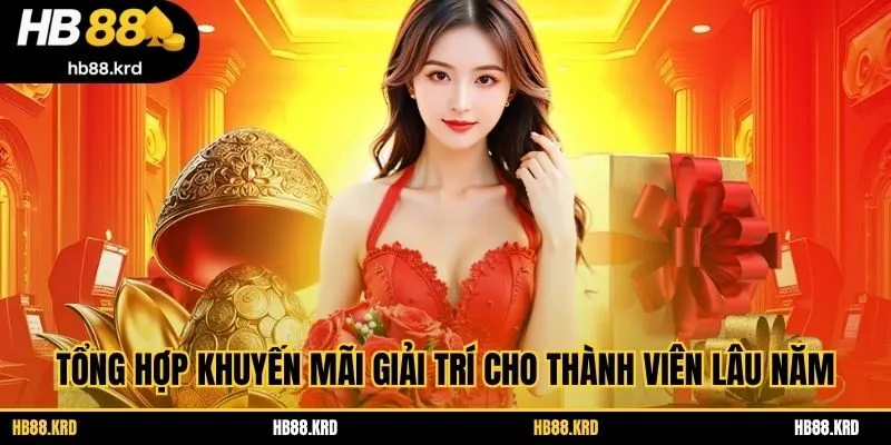 Tổng hợp khuyến mãi giải trí cho thành viên lâu năm
